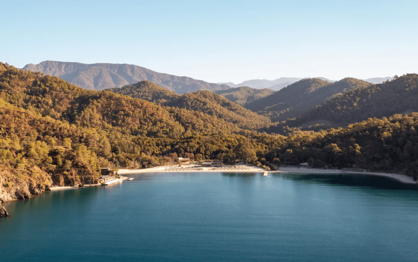 Ahama's beach in a wooded Aegean bay